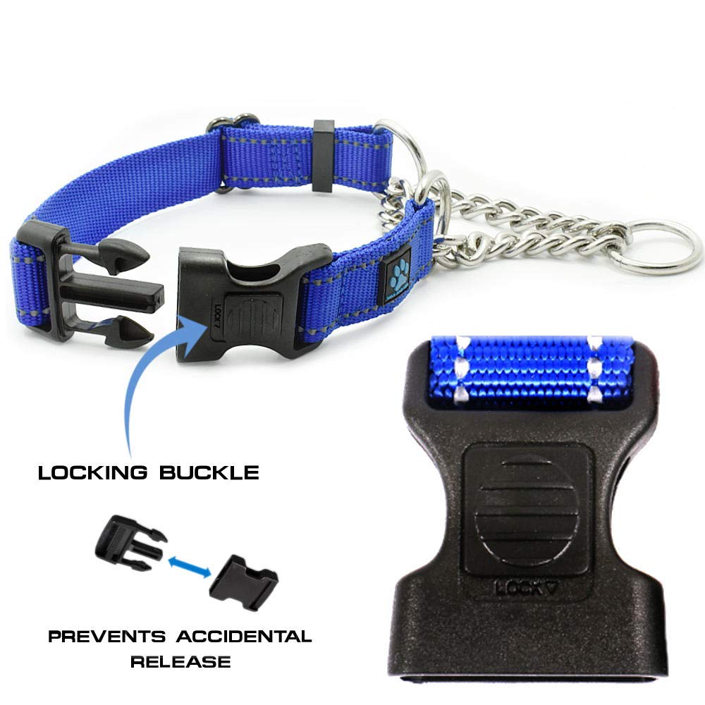 Max and Neo collar on a dog during a walk, secure control