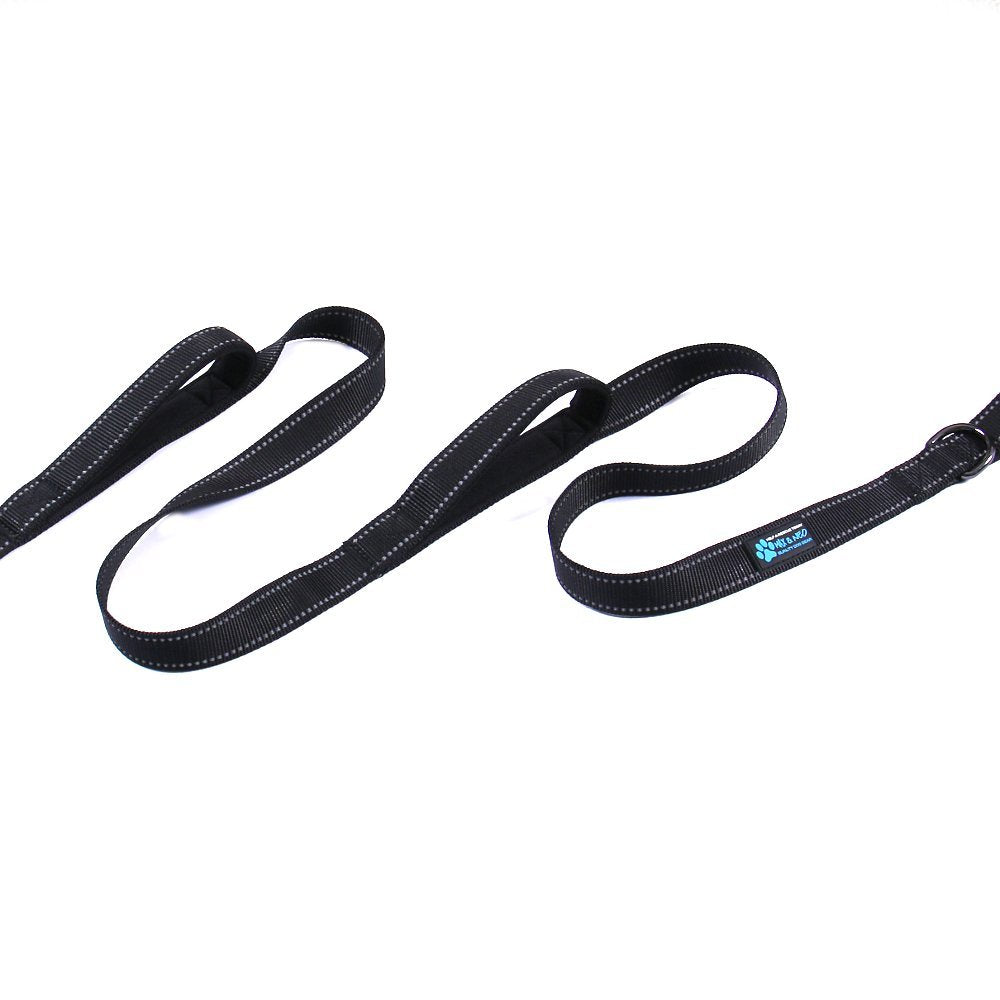 Middle handle at 44 inches helps control strong pullers during busy walks.