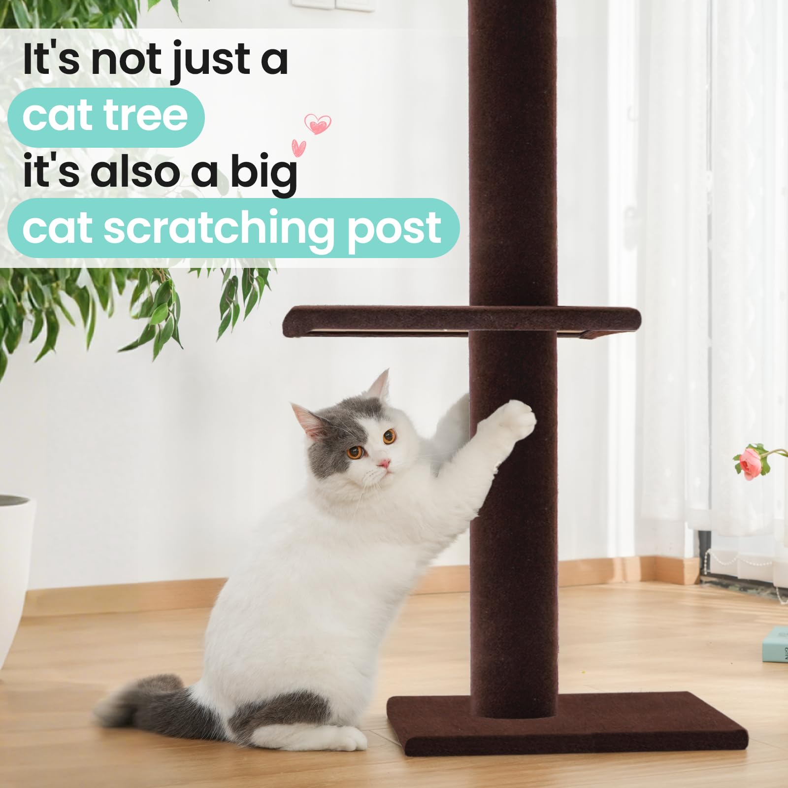 Max & Marlow quick, 10-minute assembly for instant cat playtime