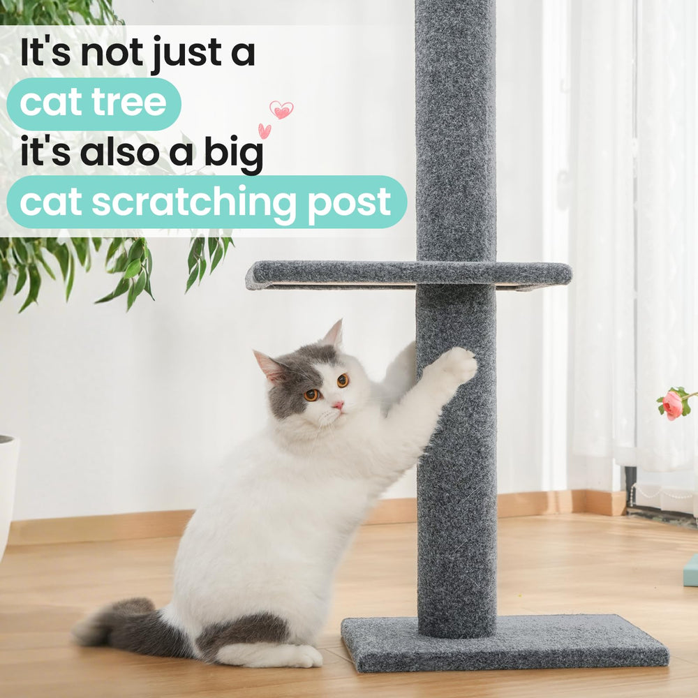 Max & Marlow tall vertical cat tower offers elevated view.