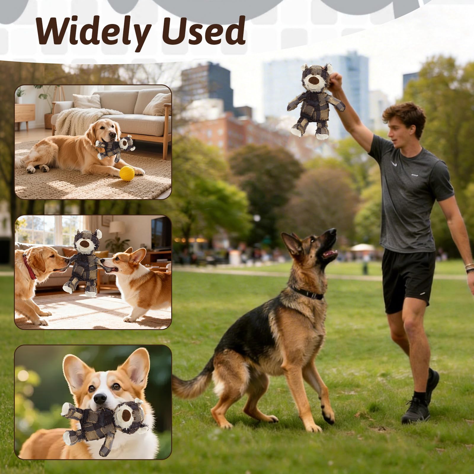 MAXBECK teeth-friendly dog toy supporting chewing and gum health