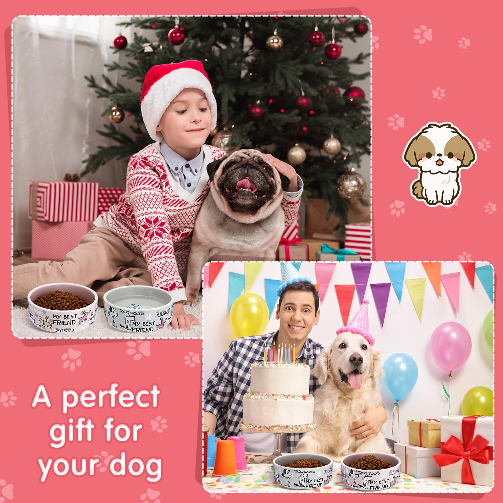 Maxcheck dishwasher-safe ceramic dog bowls for easy cleanup