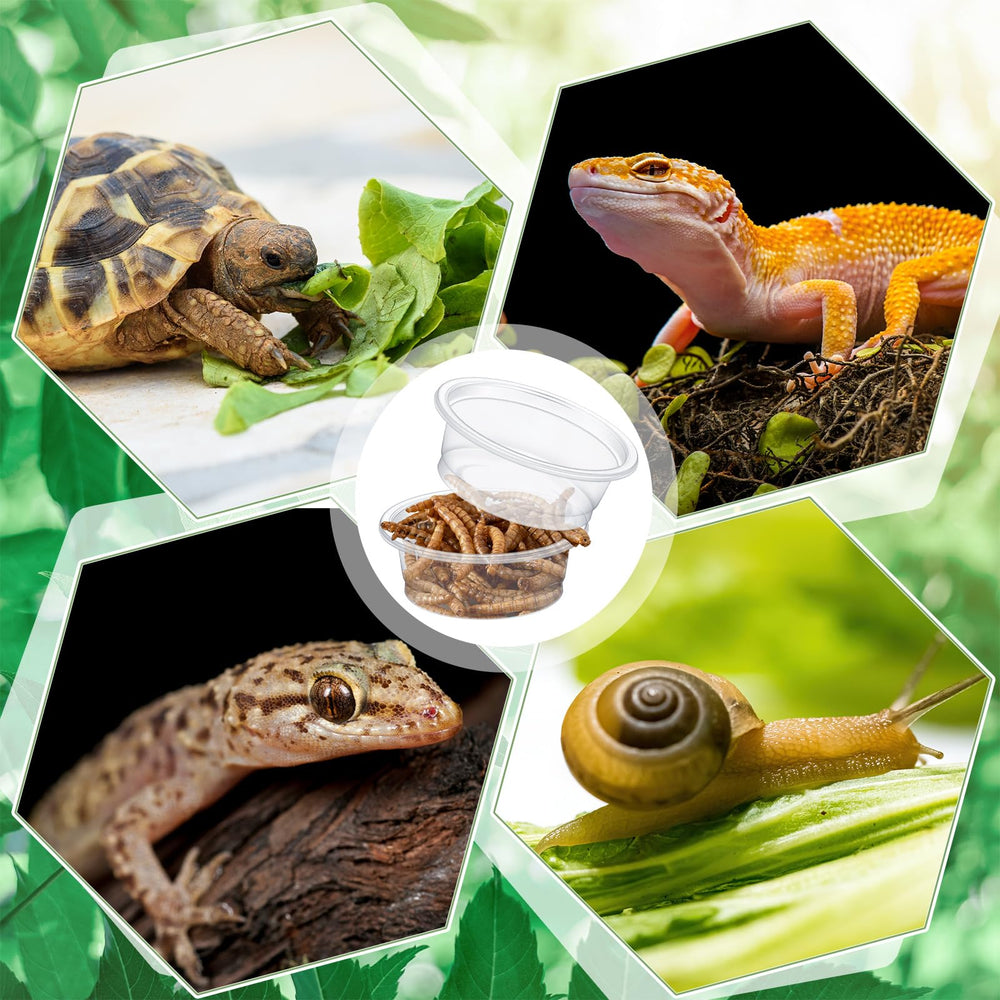 Maxcheck gecko cups safe PP material for pets.