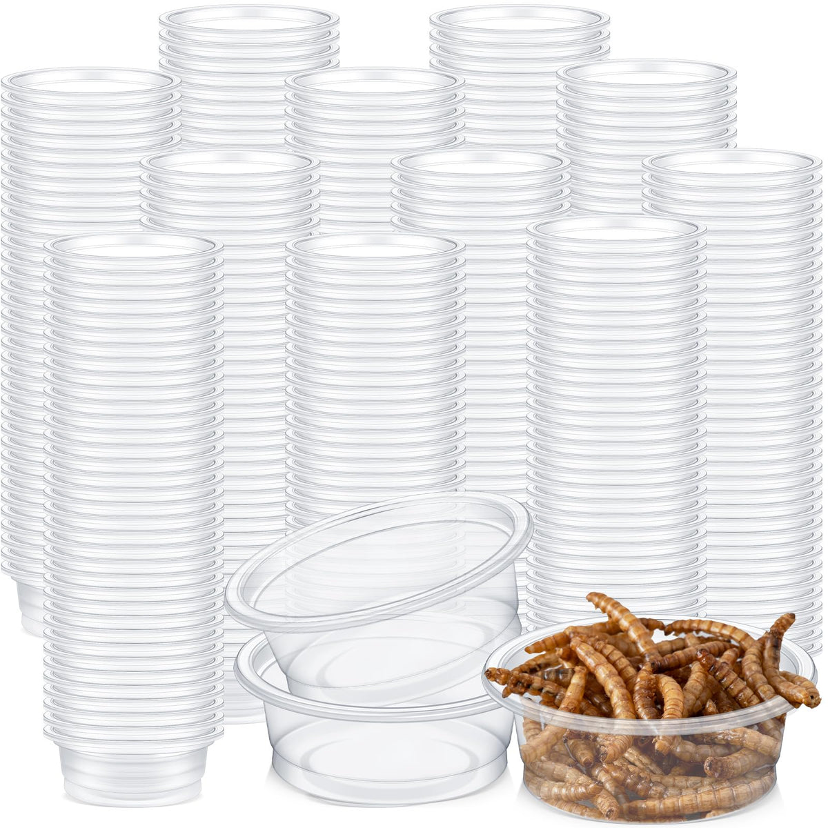 Maxcheck gecko feeding cups transparent top view for easy portioning.