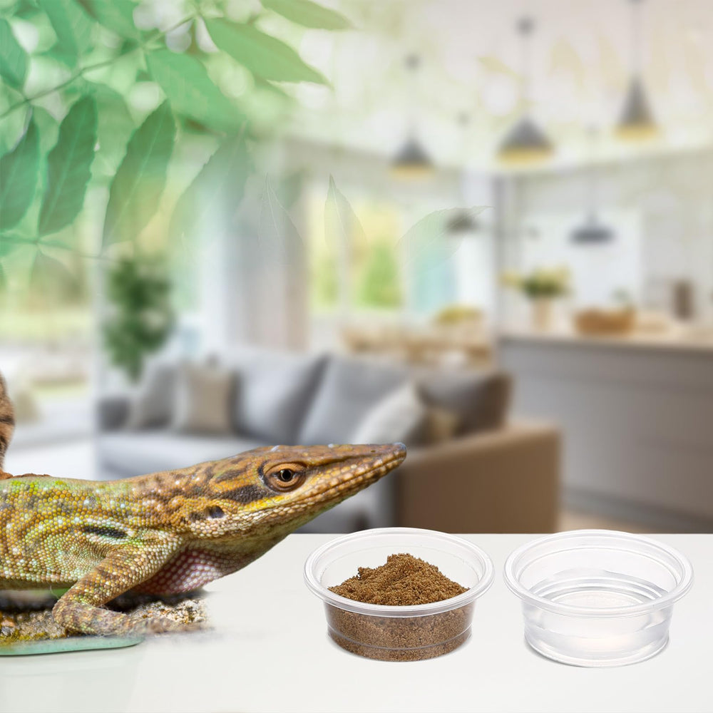 Maxcheck gecko cups versatile uses beyond feeding.