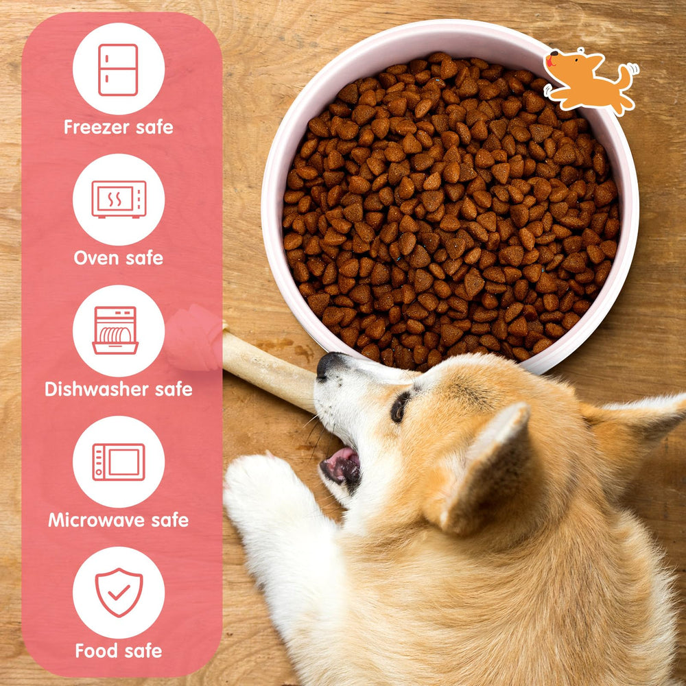 Maxcheck travel-friendly ceramic dog bowls ready for trips