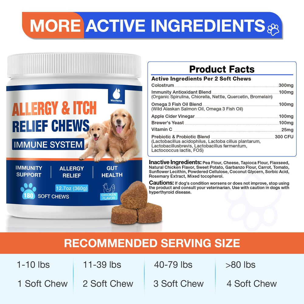 Calm-looking dog beside MaxHemp 180 Chews highlights daily use.