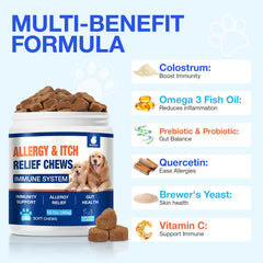 Dog paw close-up shows skin support from MaxHemp 180 Chews.