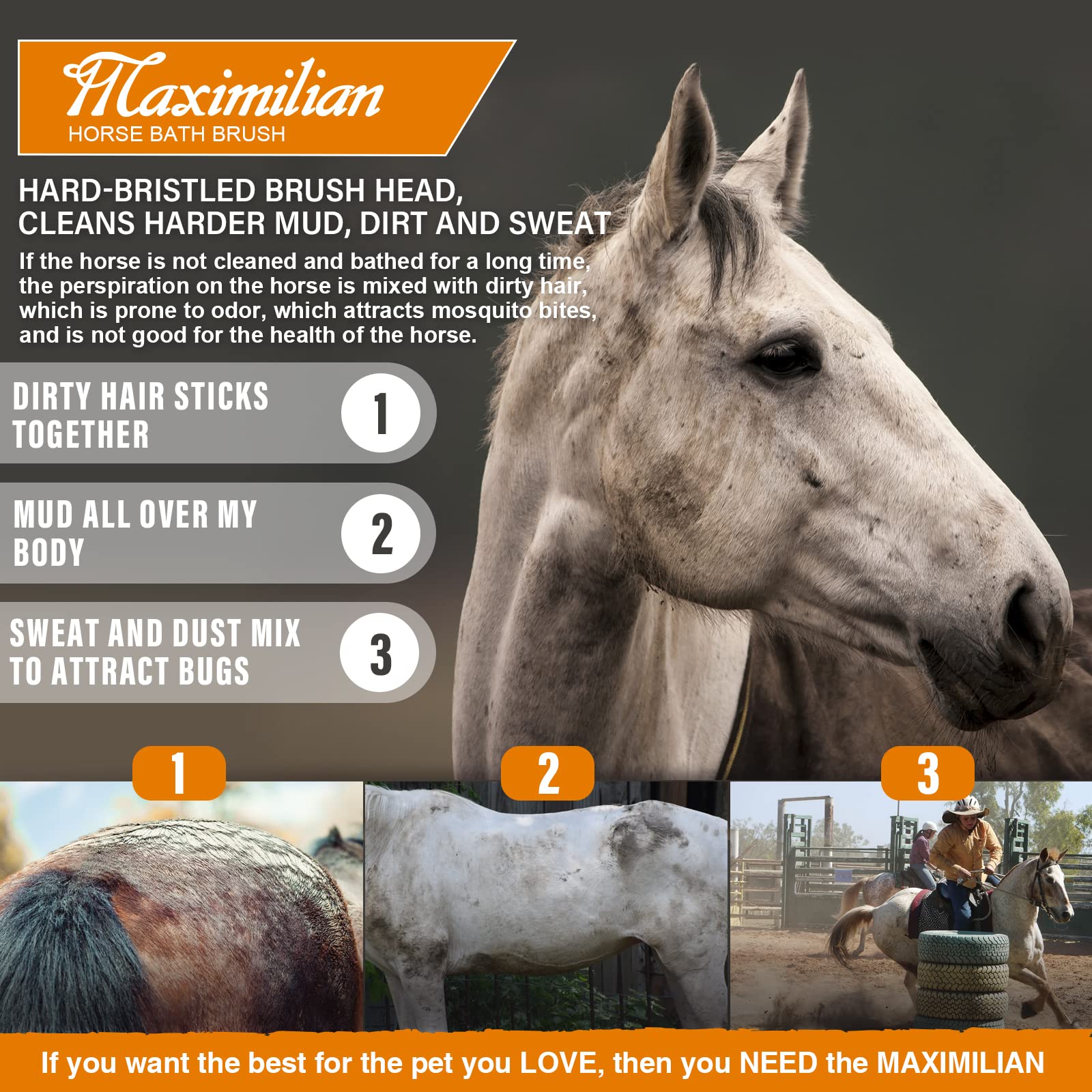 MAXIMILIAN Durable craftsmanship reflects premium grooming quality.