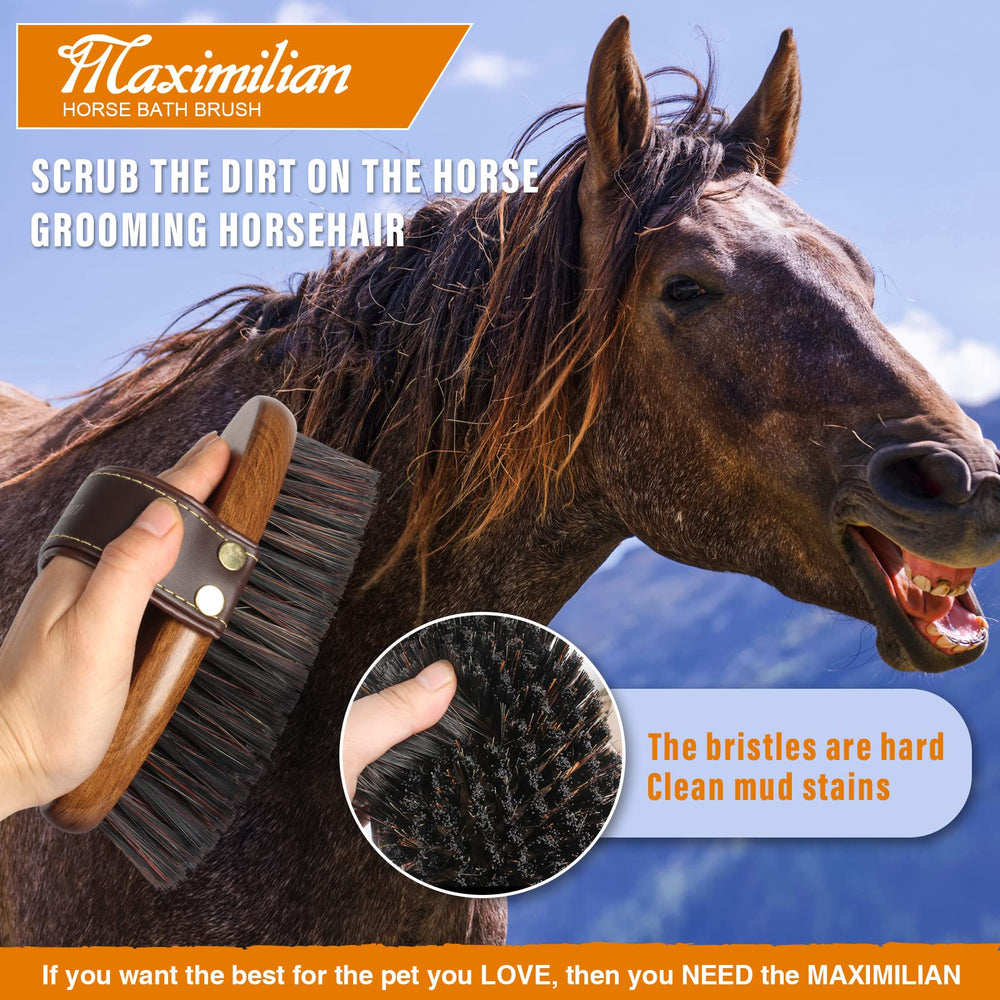 MAXIMILIAN Professional-grade grooming tool for equine care.