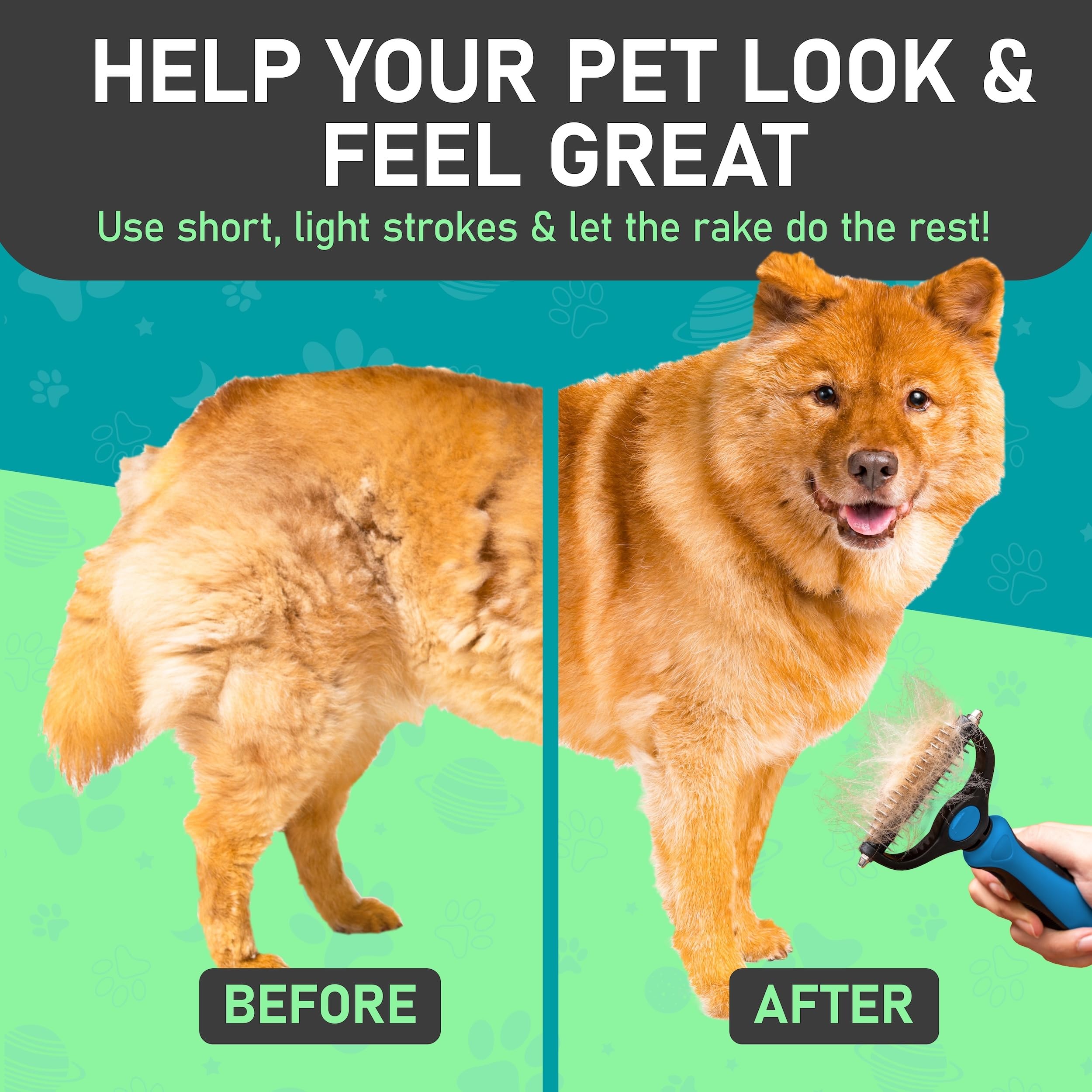 Maxpower Planet dog grooming demo showcasing comfortable pet handling.