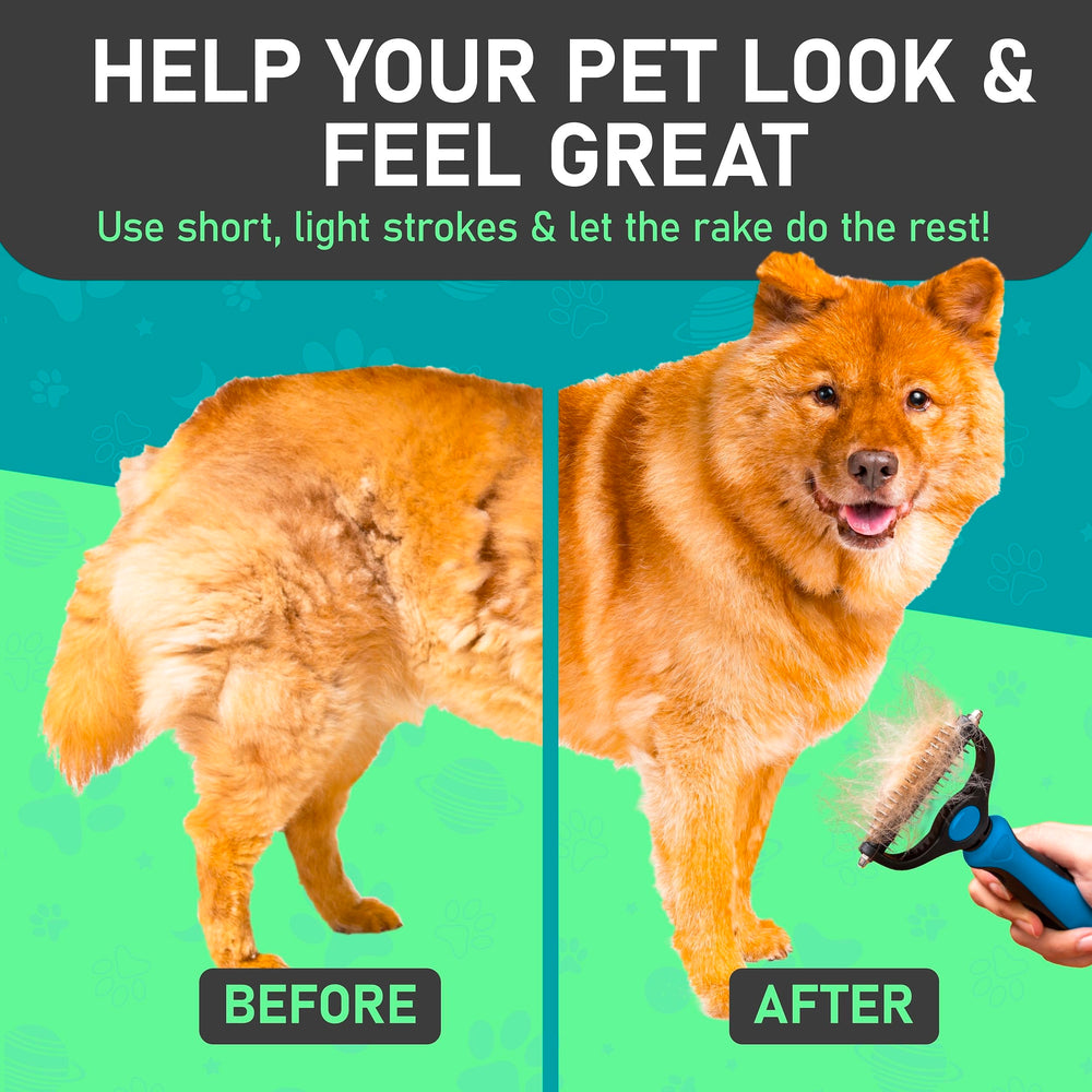 Maxpower Planet dog grooming demo showcasing comfortable pet handling.