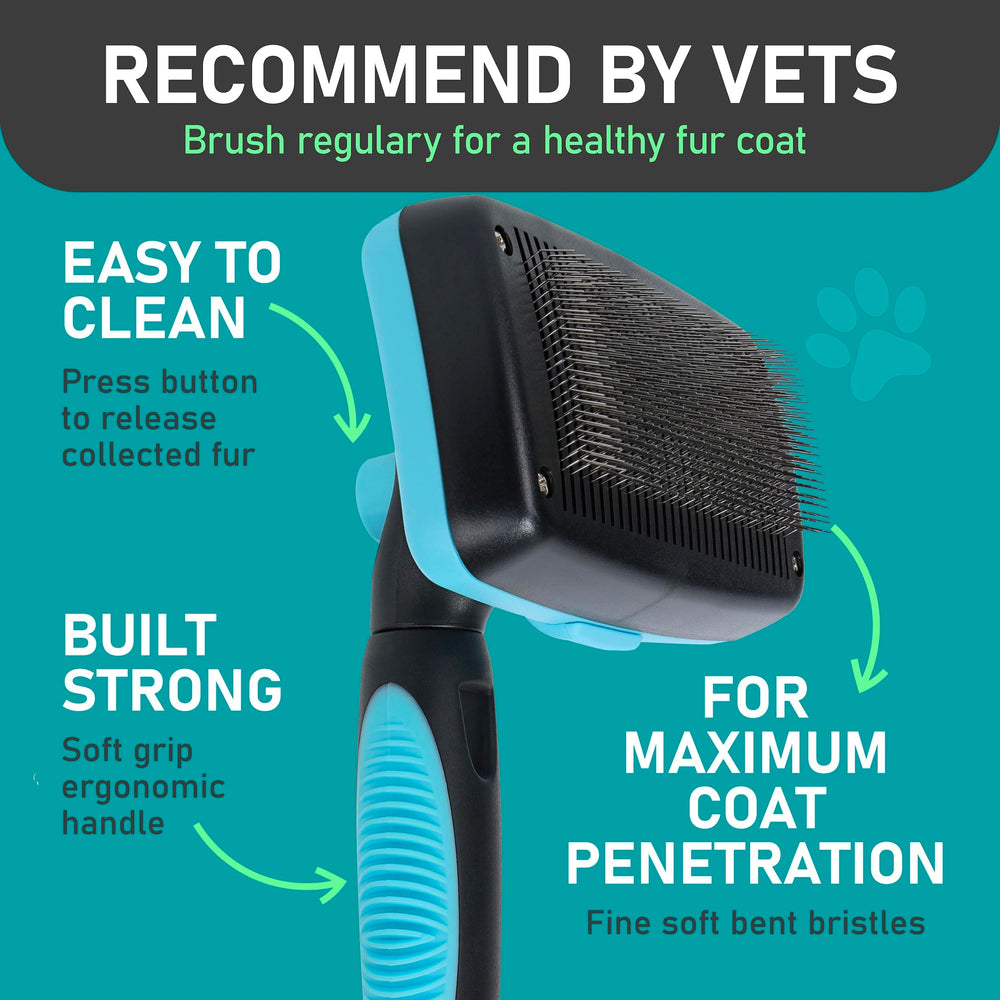 Maxpower Planet grooming session with dogs and cats demonstrates versatility
