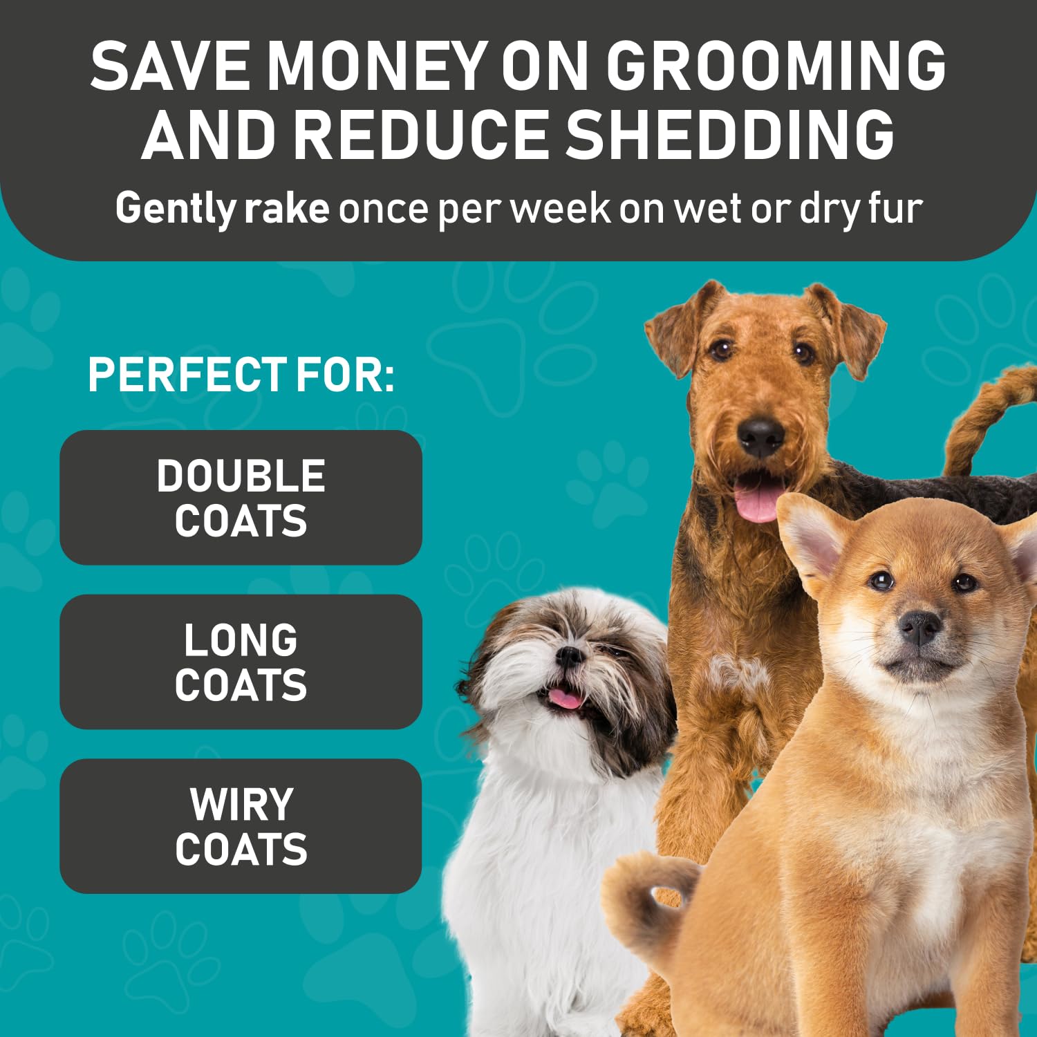Maxpower Planet machine-washable grooming gloves simplify cleaning.