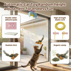 MAXTOOA door-frame cat toy with feather chase encourages batting and jumping