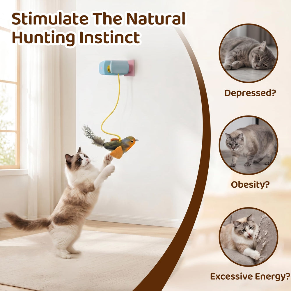 MAXTOOA hanging cat toy ceiling option for versatile play spaces