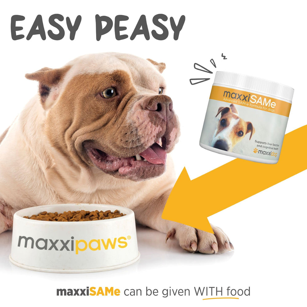 maxxipaws maxxiSAMe B vitamin complex benefit hint.