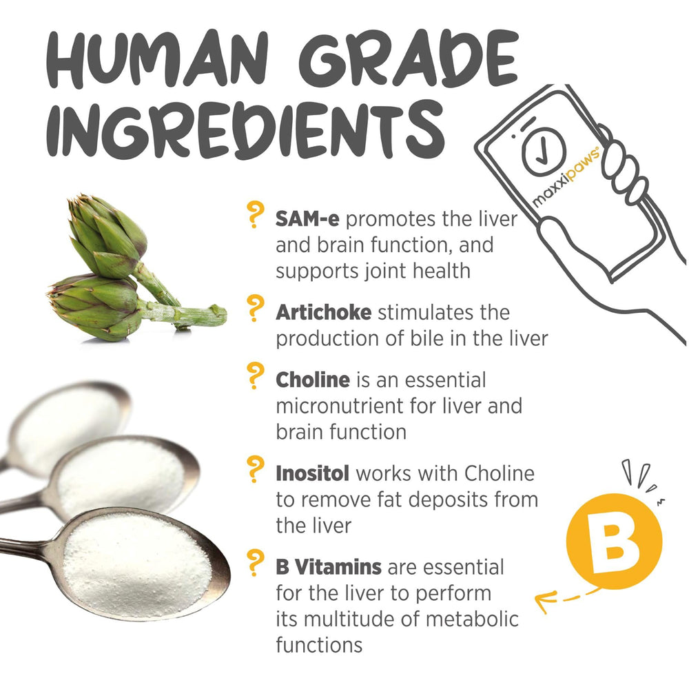 maxxipaws maxxiSAMe choline and inositol support detail.