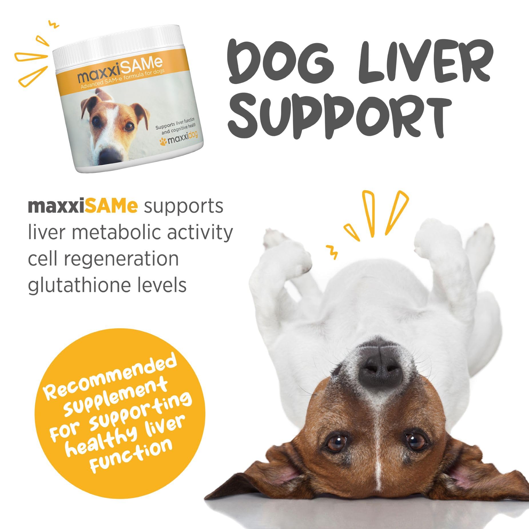 maxxipaws maxxiSAMe scoop dispensing to mix with meals.