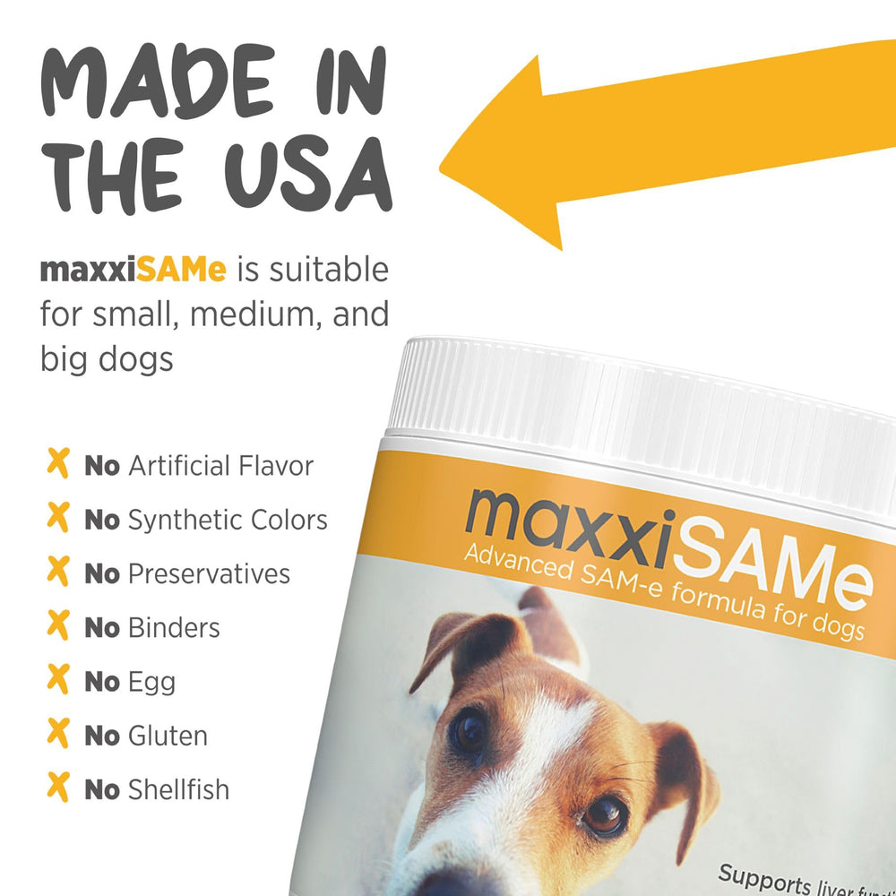 maxxipaws maxxiSAMe senior dog usage for alertness.