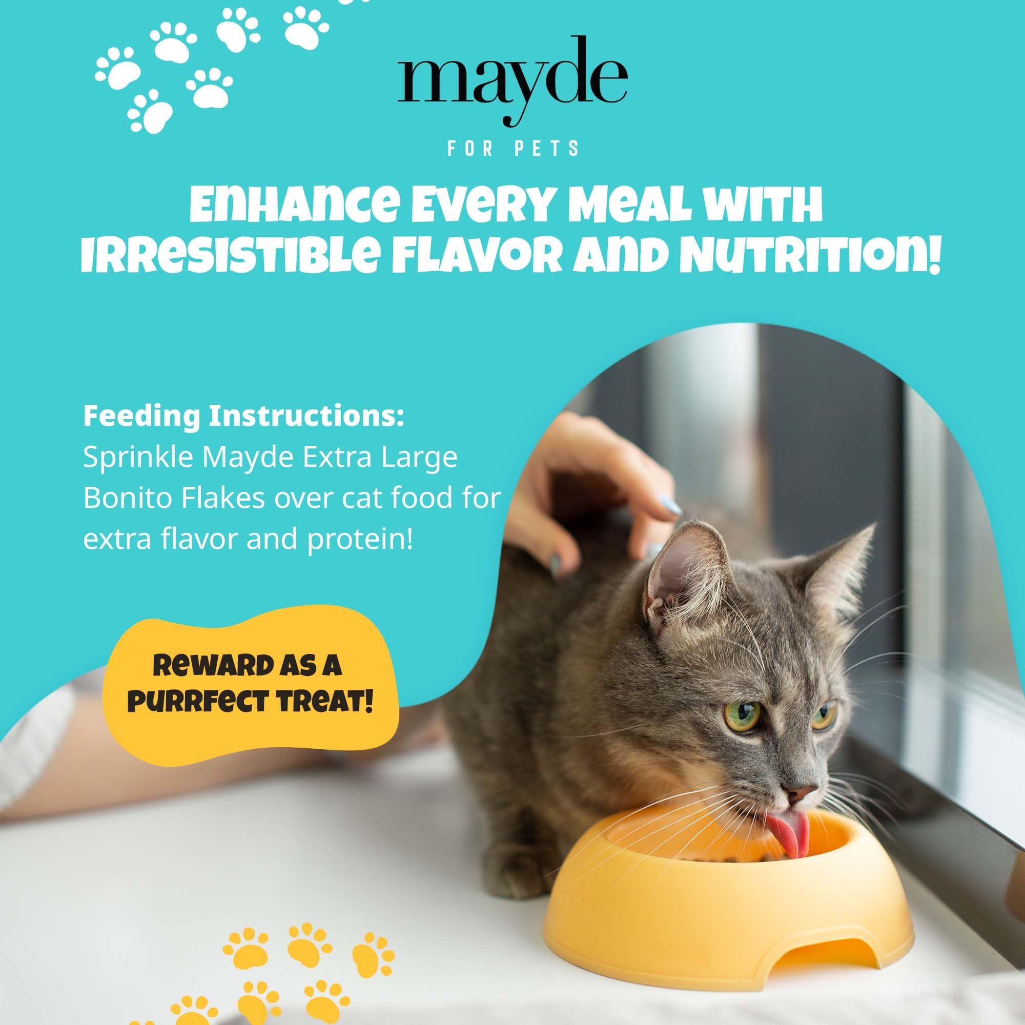 Dog and cat enjoying a savory treat using Mayde bonito flakes.