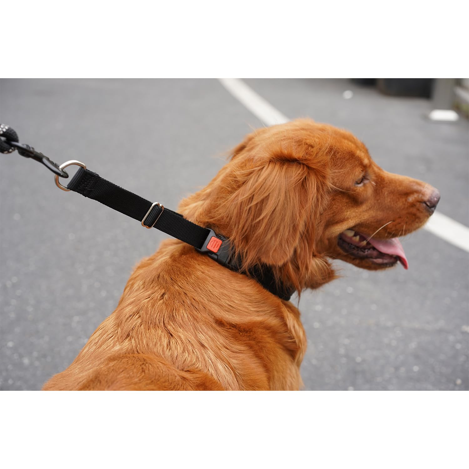 Mayerzon adjustable-neck-measure-guide helps find the right size.