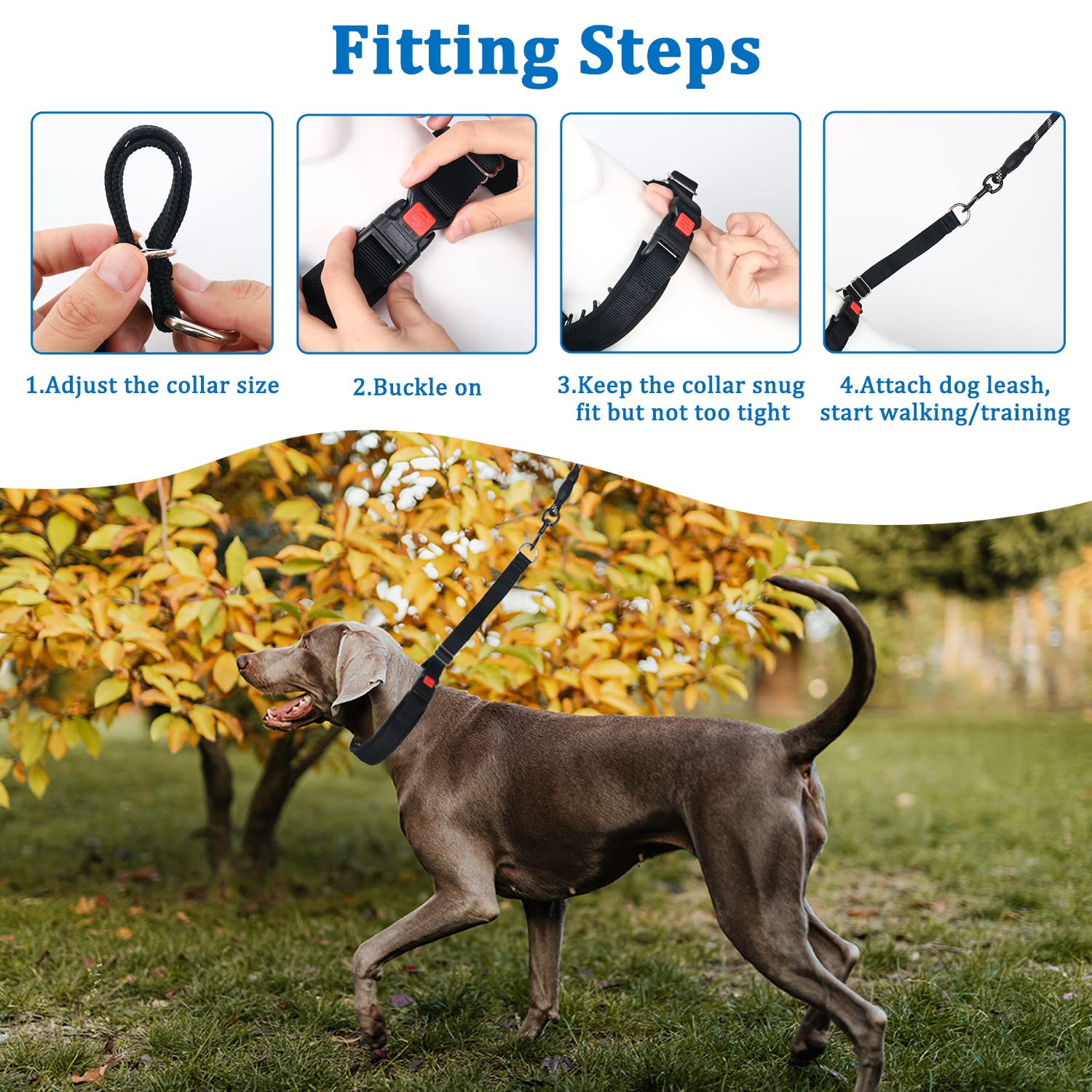 Mayerzon camouflaged-link-design keeps training tools discreet in public.