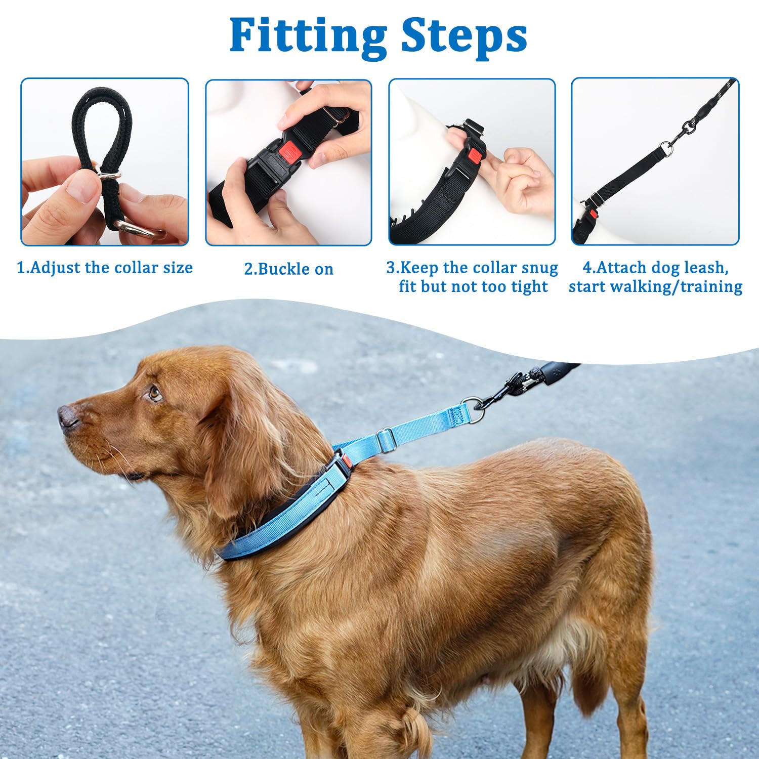 Mayerzon camouflage-like appearance blends with everyday wear while improving leash control