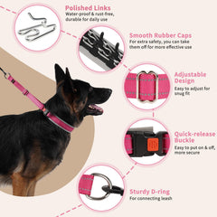 Mayerzon collar buckle with quick-release for fast on-off during walks