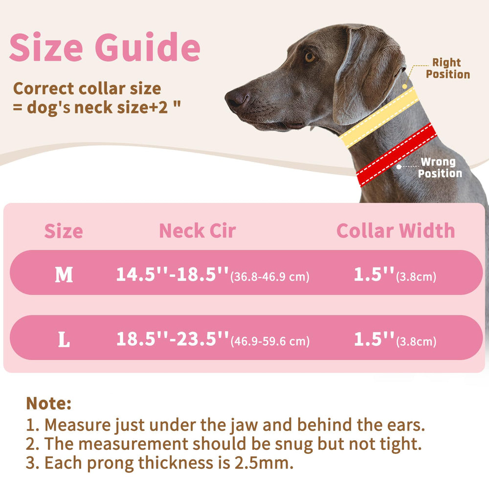 Mayerzon martingale collar D-ring leash attachment for secure leash connection