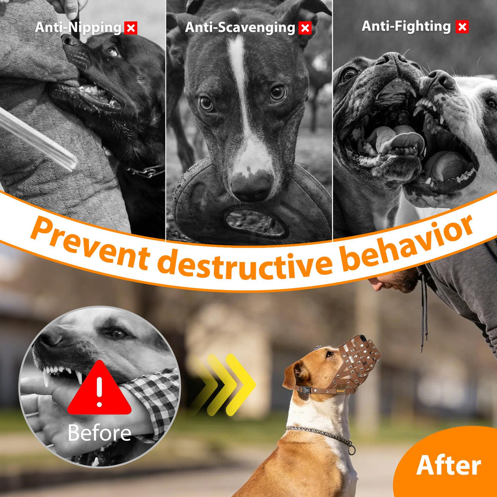Mayerzon anti-bite muzzle suited for grooming, walks, and vet visits