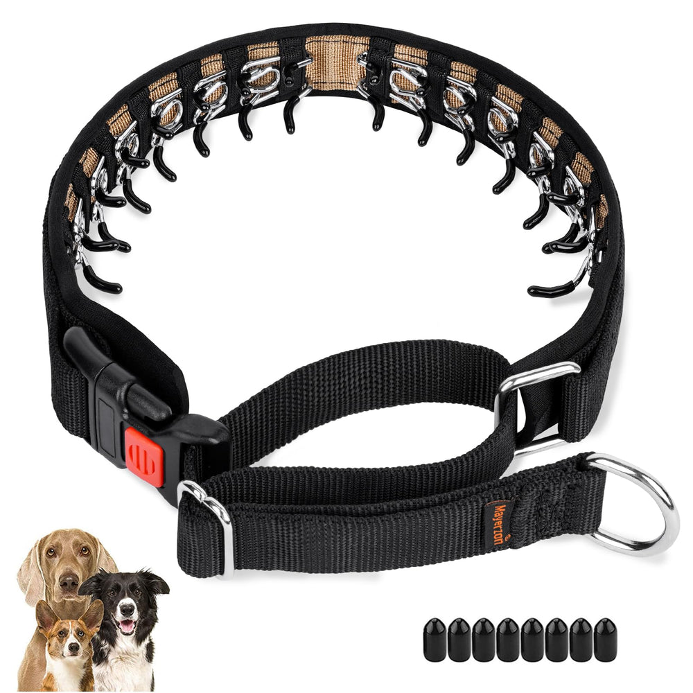 Mayerzon dog collar with hidden design for a seamless daily wear and walks