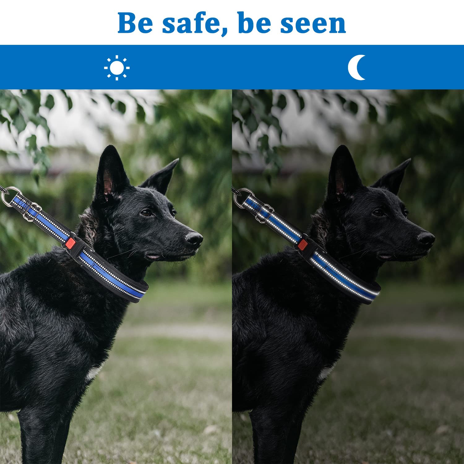 Mayerzon dog collar size measurement guide helps perfect fit.