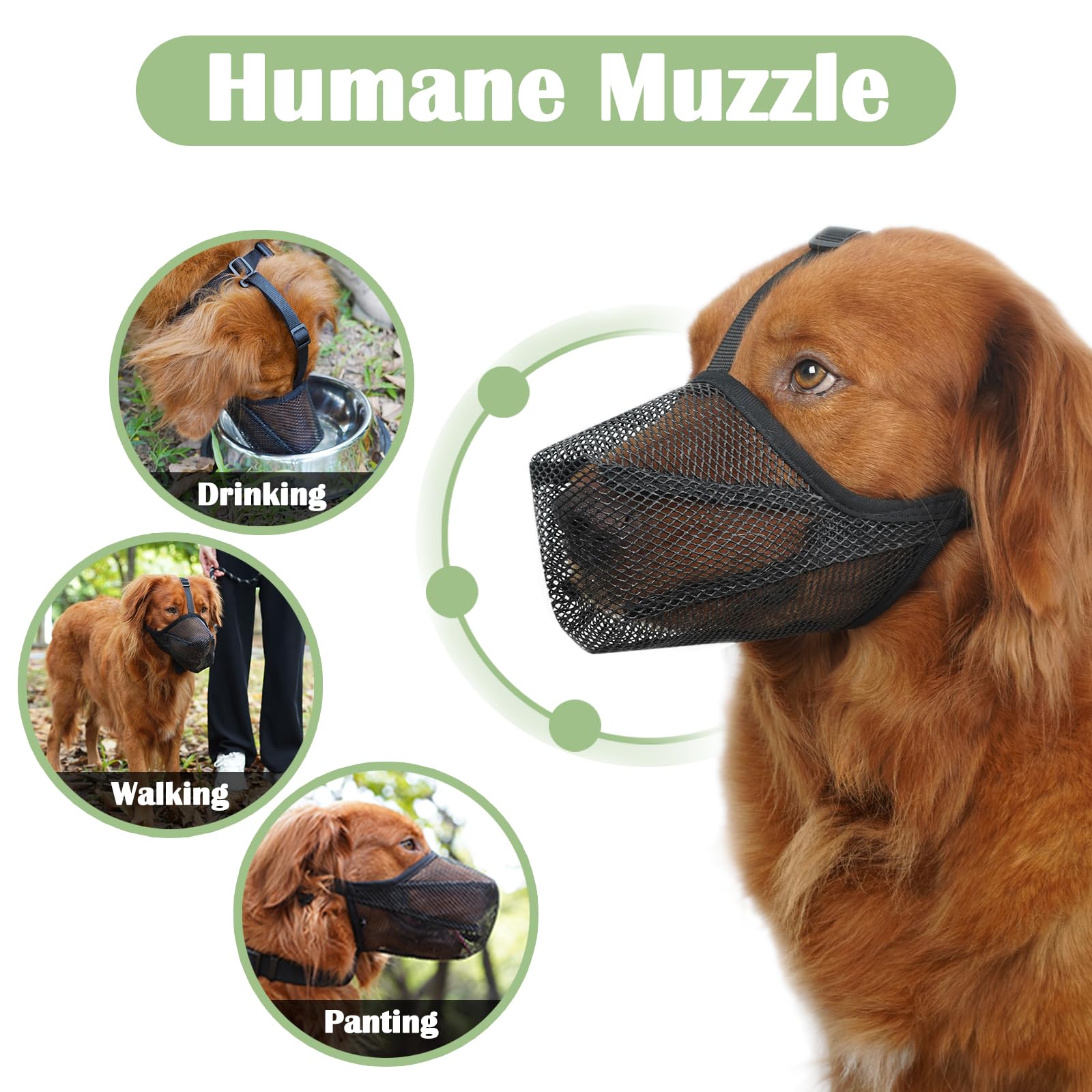 Mayerzon dog muzzle reduces scavenging and bite risks during outings.