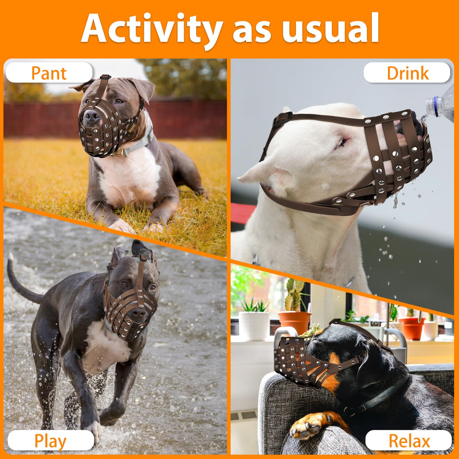 Mayerzon muzzle ideal for grooming and veterinary visits.