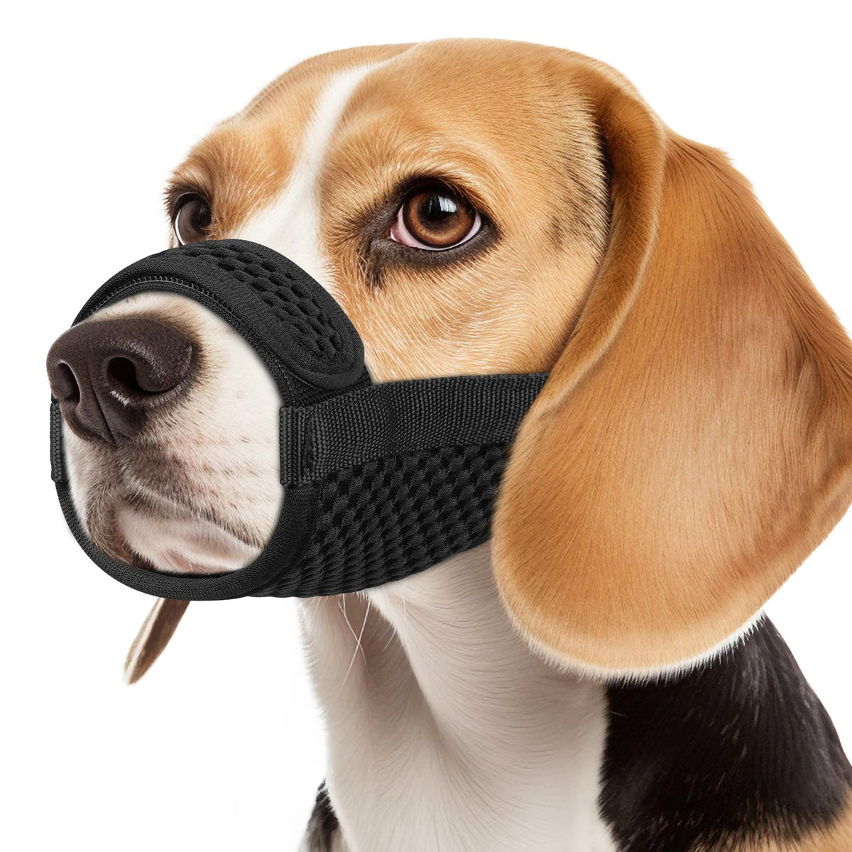 Mayerzon dog muzzle with hook loop adjustable snout for secure, comfortable fit