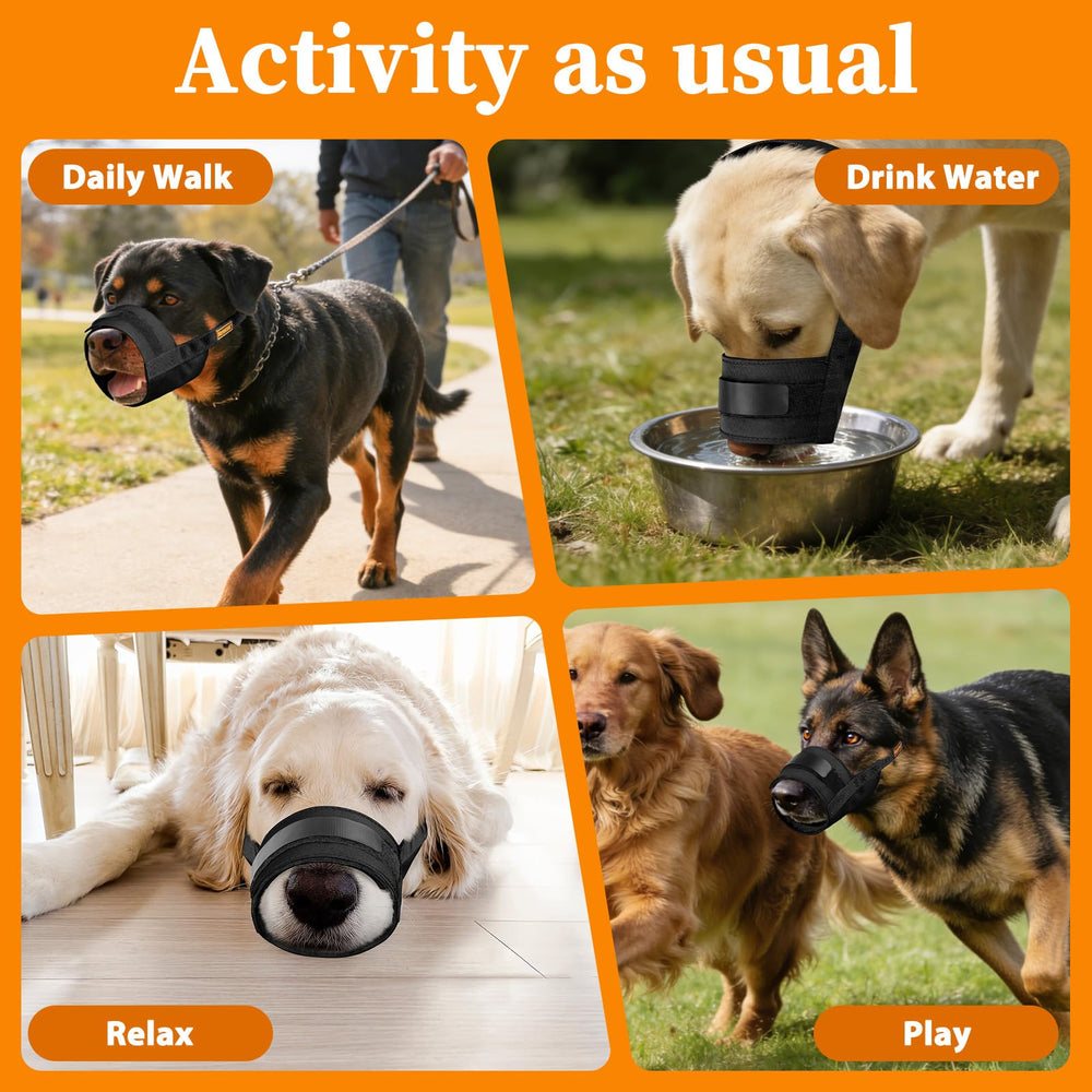 Mayerzon muzzle during public walks for safer, controlled outings.
