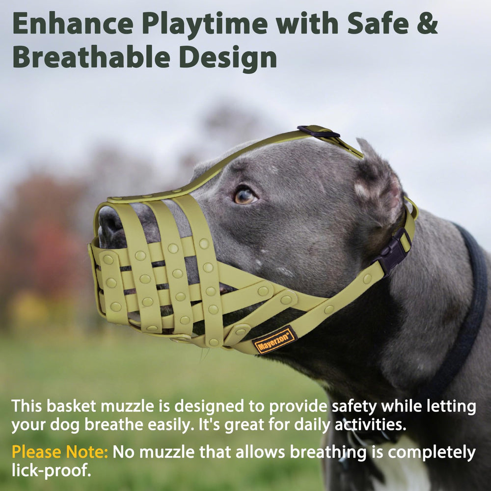 Safety-focused supervision with Mayerzon dog muzzle