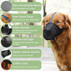 Mayerzon muzzle prevents licking and scavenging during outings.