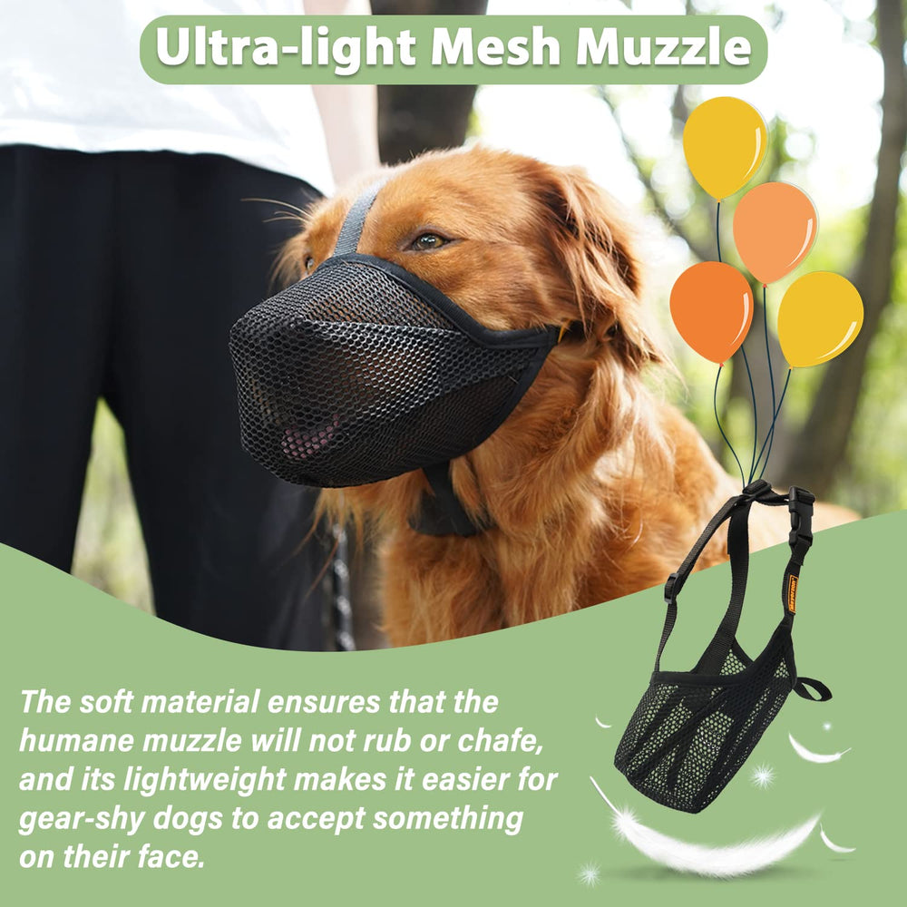 Mayerzon muzzle used as a training tool with treats for gradual introduction