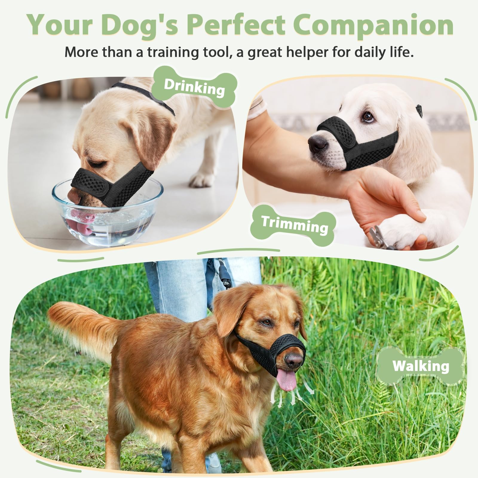 Mayerzon training with treats approach eases muzzle introduction for anxious dogs