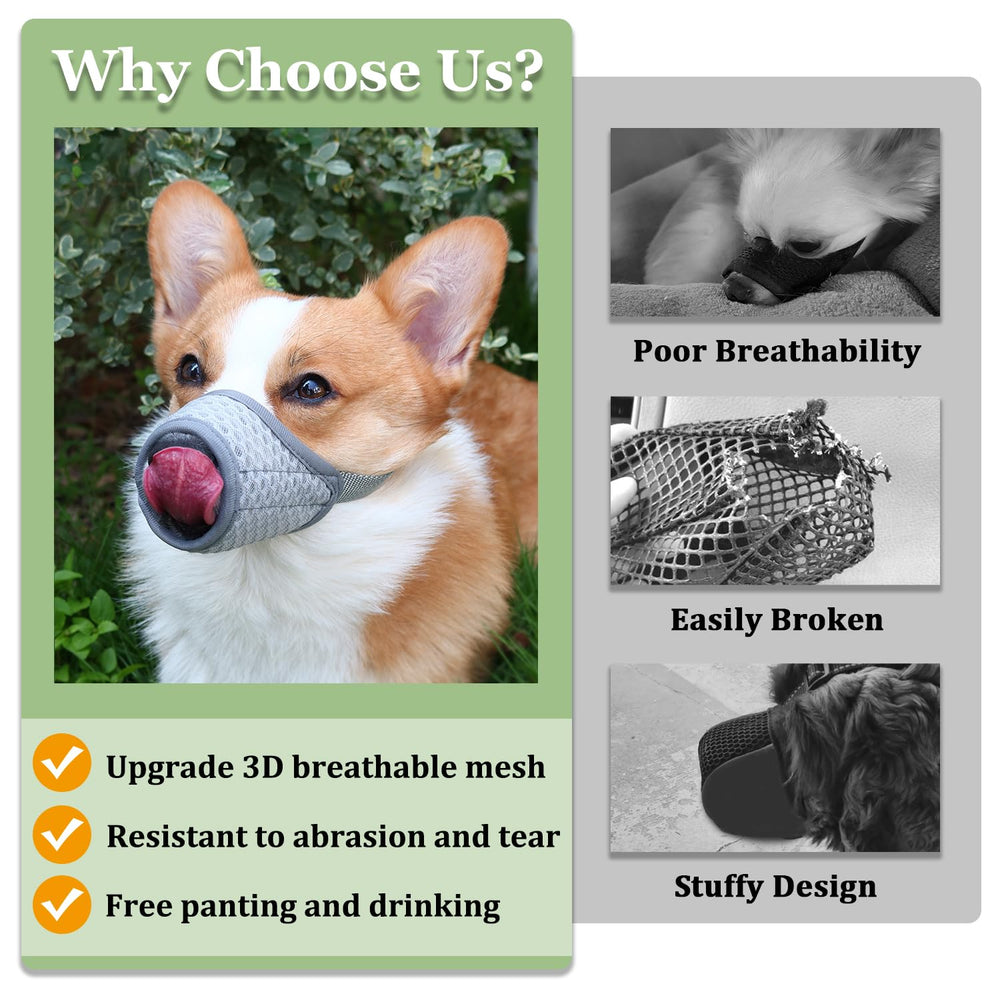 Mayerzon muzzle suited for vet visits and grooming with safer handling.