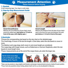 Mayerzon XL size muzzle fits large breeds like Doberman for daily wear.