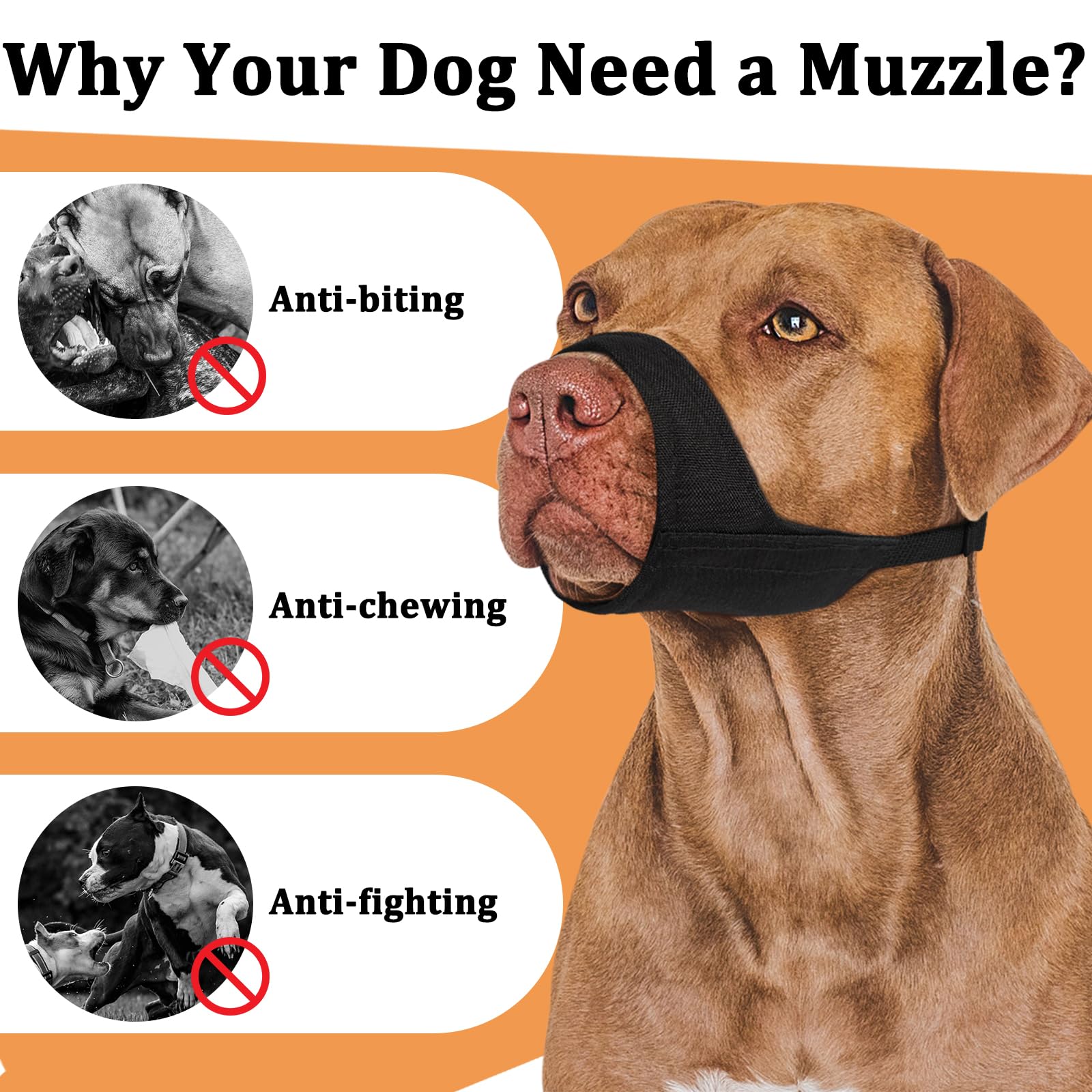 Mayerzon muzzle aiding calm grooming and nail clipping