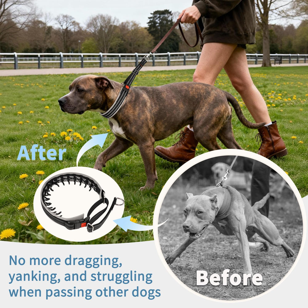 Mayerzon heavy-duty D-ring for secure leash attachment.