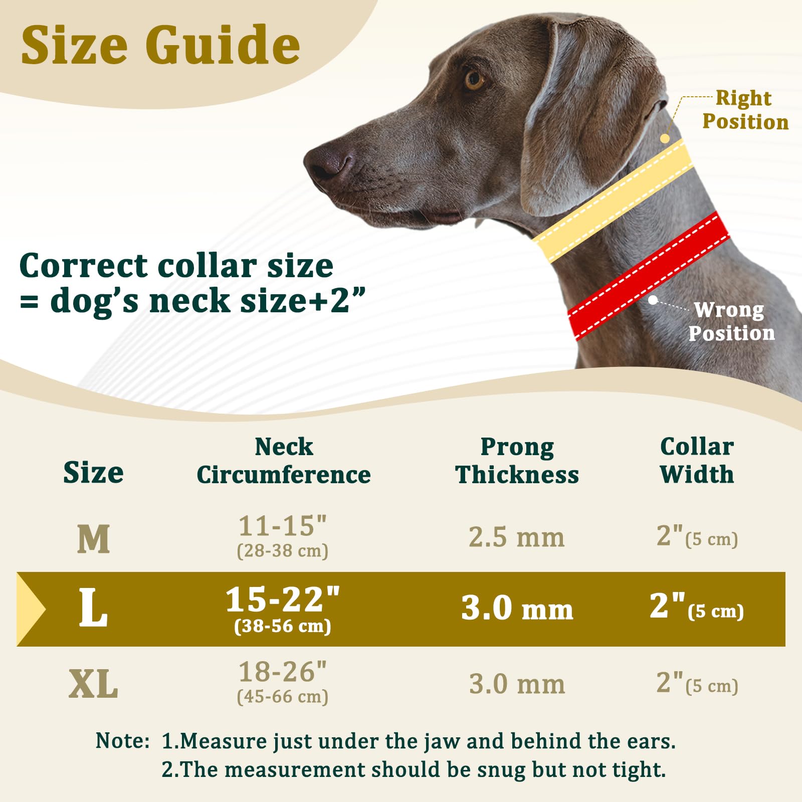Mayerzon hidden prong collar cover shows a standard look while offering gentle training cues.