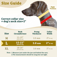 Mayerzon hidden prong collar cover shows a standard look while offering gentle training cues.
