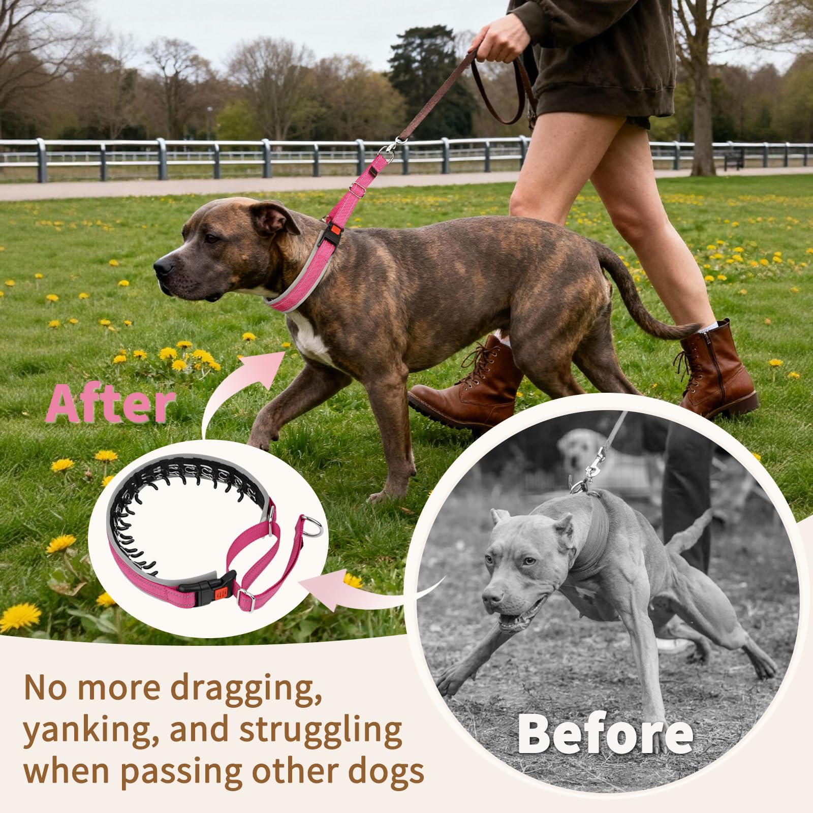 Mayerzon Martingale collar adjustable buckle enables quick fit.