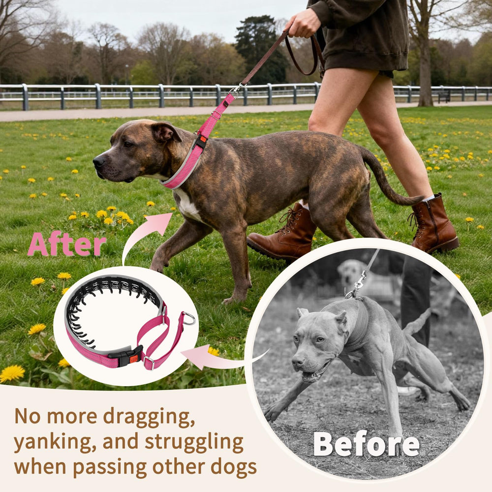 Mayerzon Martingale collar adjustable buckle enables quick fit.
