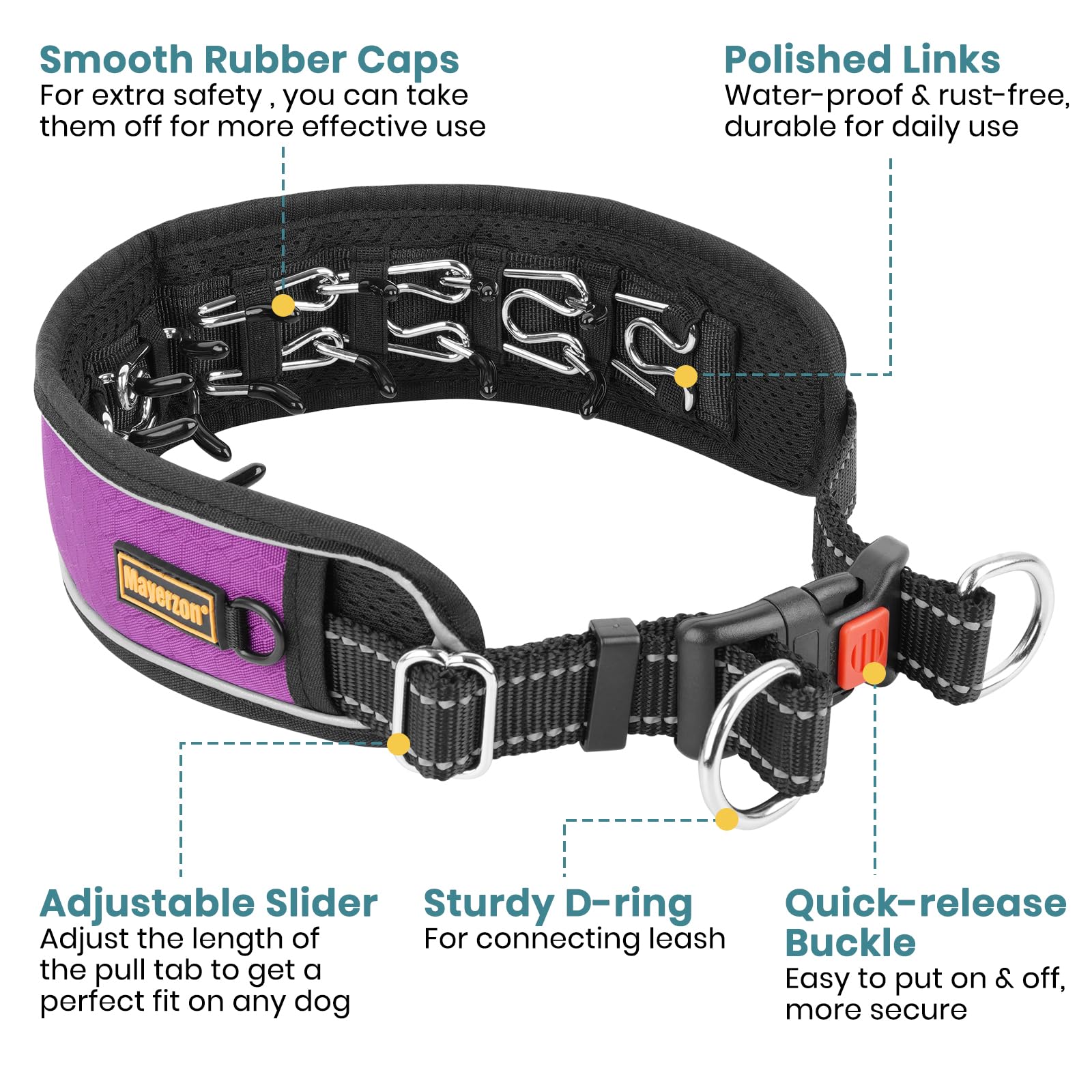 Mayerzon martingale collar with adjustable buckle safely fits a medium to large dog.